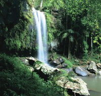 Curtis Falls Joalah Section - Accommodation Yamba
