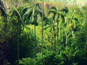 Harrami QLD Accommodation Yamba