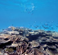 Australian Institute of Marine Science - Accommodation Yamba