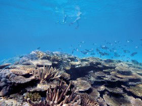 Australian Institute Of Marine Science - Accommodation Yamba 0