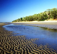 Burrum Coast National Park - Accommodation Yamba