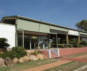 Terrestrial Georgetown Centre - Accommodation Yamba 0