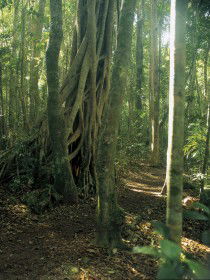 Accommodation Yamba