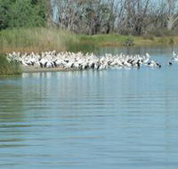 Lake Ross - Accommodation Yamba