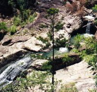 Banksia Track and the Boardwalk - Accommodation Yamba
