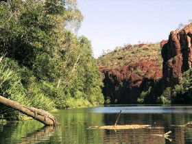 Lawn Hill QLD Accommodation Yamba