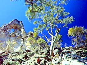 Forestvale QLD Accommodation Yamba