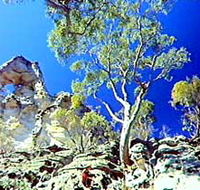 Mount Moffatt Section - Carnarvon National Park - Accommodation Yamba