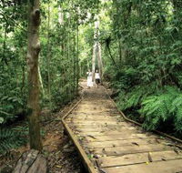 Lake Barrine Circuit Track Crater Lakes National Park - Accommodation Yamba