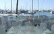 Southport Yacht Club Incorporated - thumb 8