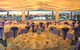 Southport Yacht Club Incorporated - thumb 9