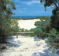 Lake Wabby Track - Accommodation Yamba