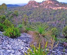 Hornet Bank QLD Accommodation Yamba