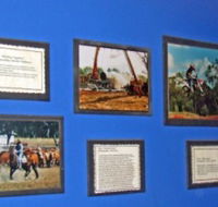 Town Hall Photographic Display - Accommodation Yamba