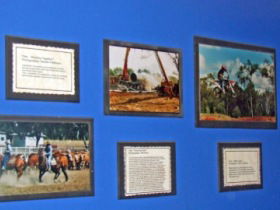 Town Hall Photographic Display - Accommodation Yamba 0