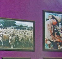 Charleville Photographic Display - Accommodation Yamba