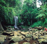 Tamborine National Park - Accommodation Yamba