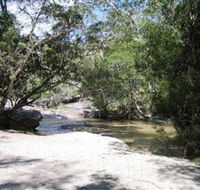 Davies Creek National Park and Dinden National Park - Accommodation Yamba