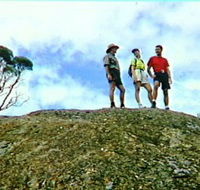 Coongarra Rock - Accommodation Yamba