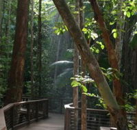 Basin Lake Track - Accommodation Yamba