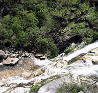 Dinden National Park - Accommodation Yamba