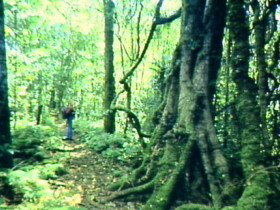 Morwincha QLD Accommodation Yamba