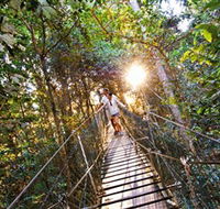 Tree Top Walkway - Accommodation Yamba