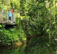 Djiru National Park - Accommodation Yamba