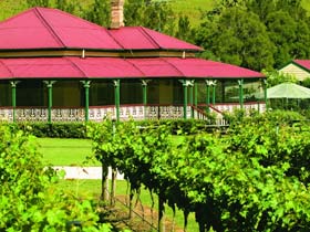 OReillys Canungra Valley Vineyards - Accommodation Yamba 0