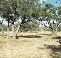 Forest Den National Park - Accommodation Yamba