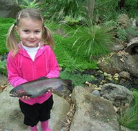 Wild Food Farm  Cafe - Accommodation Yamba