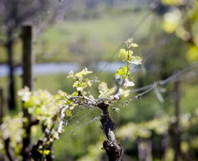 Elan Vineyard And Winery - Accommodation Yamba 0