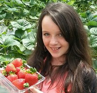 Yarra Valley Gateway Estate - Accommodation Yamba