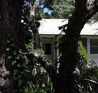 Melaleuca Gallery - Accommodation Yamba