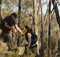 Greater Bendigo National Park - Accommodation Yamba