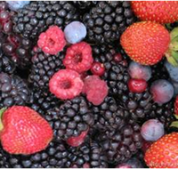 Gentle Annie Berry Gardens - Accommodation Yamba