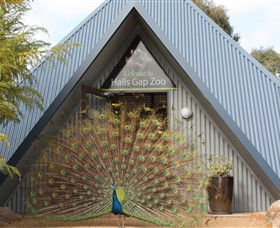 Halls Gap Zoo - Accommodation Yamba 0