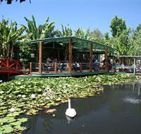 Blue Lotus Water Garden - Accommodation Yamba