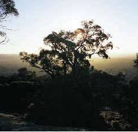 Yarra Flats - Accommodation Yamba