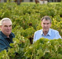 Campbells Wines - Accommodation Yamba