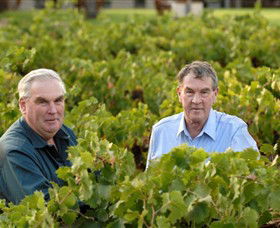 Campbells Wines - Accommodation Yamba 0