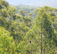 Bunyip State Park - Accommodation Yamba