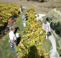 Blakes Estate Winery - Accommodation Yamba