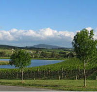 Yarrawood Estate - Accommodation Yamba