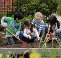 The Ian Potter Foundation Children's Garden - Accommodation Yamba