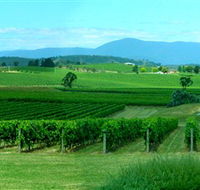Acacia Ridge Vineyard - Accommodation Yamba