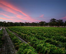 Book Talbot VIC Attractions Accommodation Yamba Accommodation Yamba