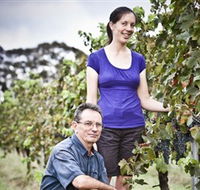 Anderson Winery - Accommodation Yamba