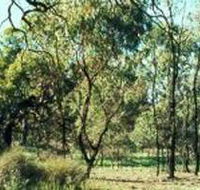 Leaghur State Park - Accommodation Yamba