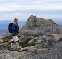 Mount Buffalo National Park - Accommodation Yamba